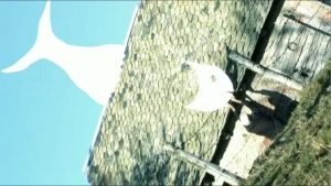 dessins et paysages art vidéo